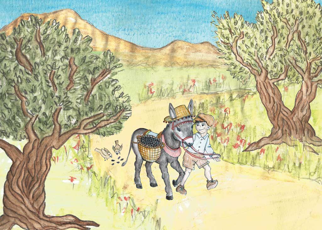 Olive Groves Σπανάκης Βιολογικό ελαιόλαδο