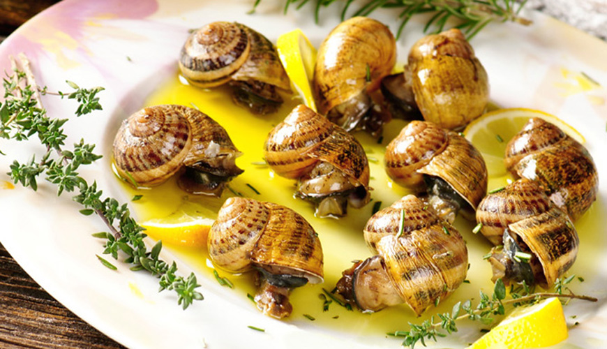 Snail Delicacies