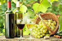 Cretan Wines