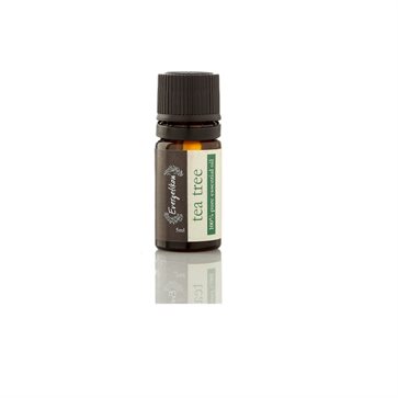 Essential Oil Tea Tree by Evergetikon