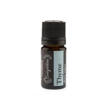 Essential Oil Thyme by Evergetikon