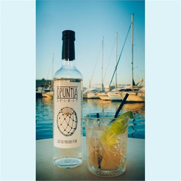 Τσικουδιά Φραγκόσυκου Opuntia Spirit by Minoan Land 500ml 500ml